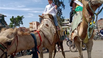 زفة بالجمال لتكريم حفظة القرآن الكريم في قرية السلام بالدقهلية | صور