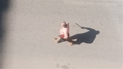 مهتز نفسيا يحطم زجاج سيارة بشارع لبنان في المهندسين.. والأمن يضبطه | صور