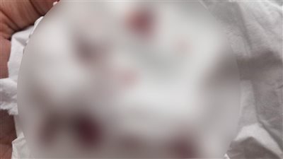 قيدها وحقنها بالمخدر.. زوجة تطلب الطلاق من صاحب توكيل سيارات: بقيت مدمنة شابو زيه وابني كان هيحصلنا