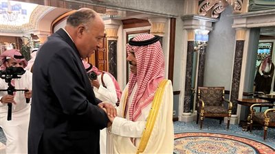 وزير الخارجية يستقبل نظيره السعودي غدًا بالقاهرة 