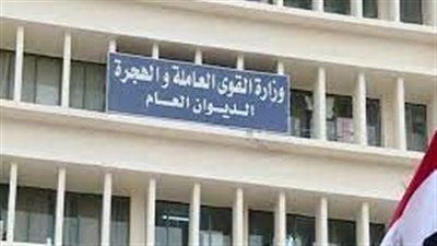 براتب يبدأ من 3000 جنيه.. القوى العاملة تعلن توفير فرص عمل للشباب بالإسماعيلية والشرقية | بث مباشر