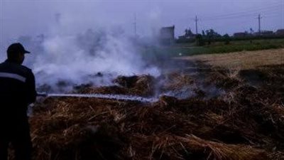 الحماية المدنية تسيطر على حريق محصول قمح بالمنوفية