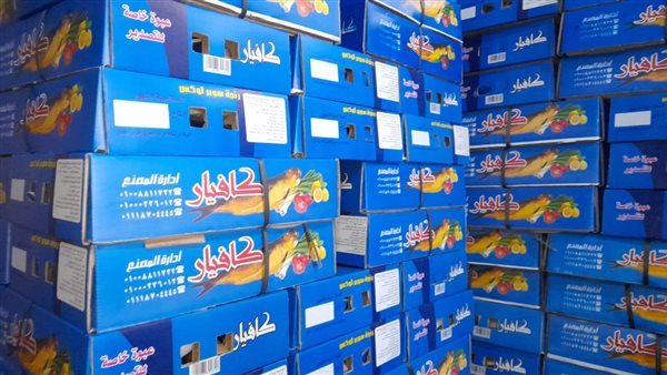 ضبط 8 طن أسماك منتهية