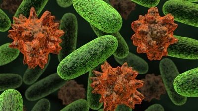 لحوم السوبر ماركت تحتوي على البكتريا الإشريكية القولونية | دراسة