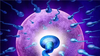 باحثون يكتشفون طريقة جديدة لعلاج العقم لدى النساء