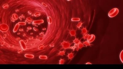 في اليوم العالمي للتوعية باضطراب الهيموفيليا.. تعرف على أعراض الإصابة 