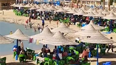 للاحتفال بأعياد الربيع وعيد القيامة المجيد.. إقبال من المواطنين على الشواطئ والحدائق بالمحافظات | بث مباشر 