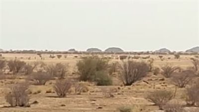 اشتباكات بمحيط السجن المحتجز به عمر البشير.. وأنباء عن فرار بعض قوات الدعم السريع