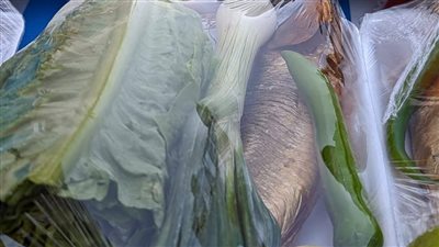 المنايفة وزعوا 400 وجبة رنجة على الصائمين في رمضان بمناسبة شم النسيم | صور