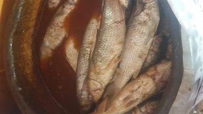 بعد مصرع وإصابة 4 أشخاص.. ضبط صاحب محل ملوحة في قنا وتحرك عاجل من الصحة