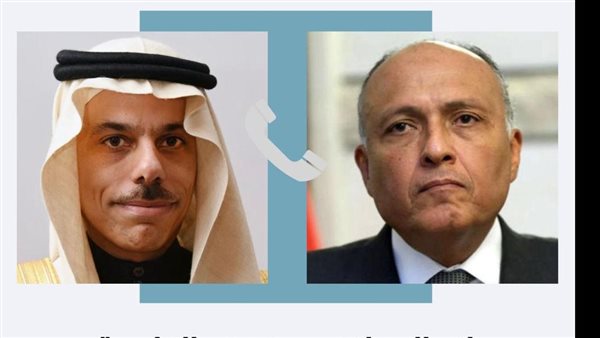 شكري ونظيره السعودي