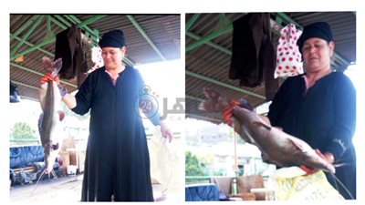 بطلة تحت الوصاية الواقعية │ تستيقظ فجرًا للصيد وتظل أيامًا بالمياه.. البحارة منى: ورثت المركب عن أمي والبحر مأمني الوحيد