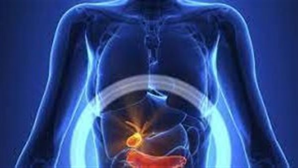 القناة الصفراوية