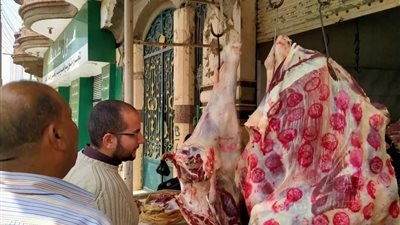 تحرير 16 محضر مخالفة تموينية ببنها وطوخ قليوبية