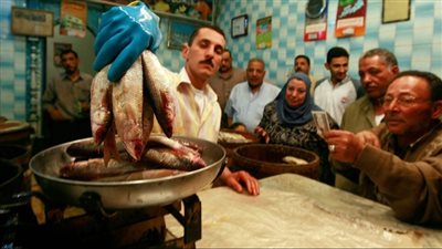 بالتزامن مع عيد الفطر.. استشاري تغذية علاجية توضح طرق شراء الفسيخ والملوحة