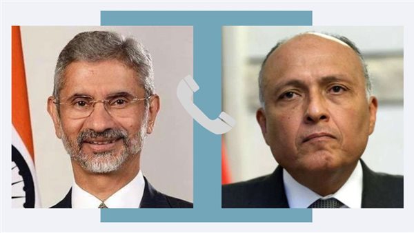 سامح شكري ونظيره