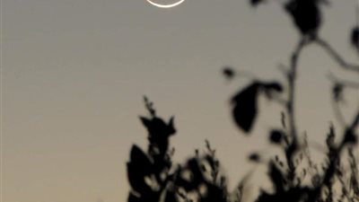 يشاهد بالعين المجردة.. هلال عيد الفطر يزين سماء الوطن العربي ليلًا