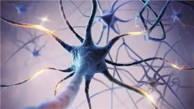 علماء يكتشفون استراتيجية جديدة لإصلاح تلف الحمض النووي في الخلايا العصبية