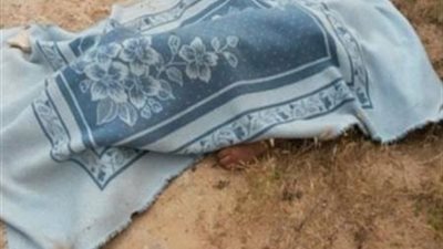 تفاصيل مصرع شخص في مشاجرة مع شقيقين بالقليوبية.. وقرار من جهات التحقيق 