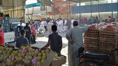 خناقة سوق الخضار.. حبس المتهمين بالشروع في قتل بائعي خضروات بمنشأة ناصر