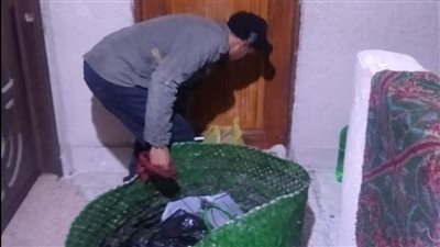 استمرار الجمع المنزلي للقمامة من عدة مناطق بمناخ بورسعيد | صور 
