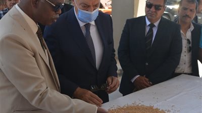 محافظ القليوبية يتفقد صوامع القمح ببنها ويؤكد على انتظام العمل وتوريد أكثر من 4 آلاف طن