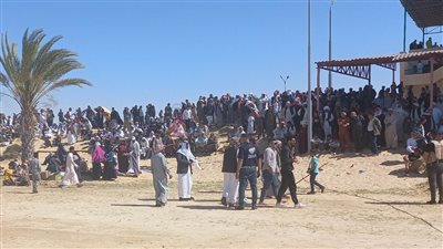 الآلاف من أهالي العريش يتوافدون على مهرجان الهجن | صور