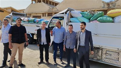 ضبط 22 طن قمح داخل مخزن قبل بيعها بالسوق السوداء في البحيرة