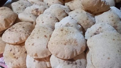 تحرير 71 مخالفة تموينية بمدينتي القناطر وشبين في القليوبية