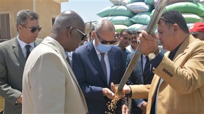 القليوبية في 24 ساعة | توريد 4 آلاف طن قمح وغلق 6 مراكز لعلاج الإدمان.. والتعليم تناقش استعدادتها للفصل الدراسي الثاني 