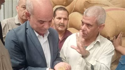 رئيس مدينة كفر شكر بالقليوبية: لن نسمح بالتقصير في توريد القمح