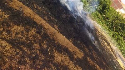 بسبب خلافات سابقة.. عامل يتهم مزارعين اثنين بإحراق محصوله من القمح بالمنوفية