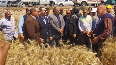 محافظ كفر الشيخ يشهد حصاد القمح بالحقول.. ويؤكد: الفدان أنتج 23 إردبًا