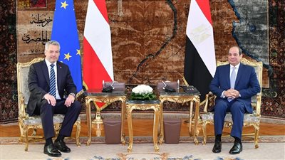 السيسي: تلقيت دعوة رسمية لزيارة النمسا وسأعمل على تلبيتها 