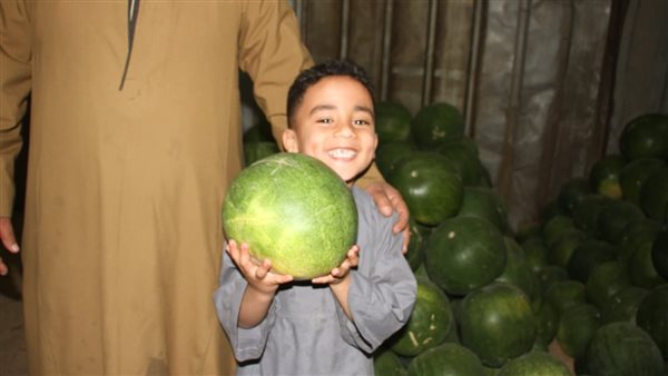 البطيخ بإسنا جنوب