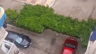 سقوط أمطار خفيفة على مناطق متفرقة من محافظة الإسكندرية | بث مباشر