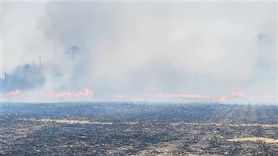 السيطرة على حريق نشب في 4.5 فدان قصب وقمح بقنا