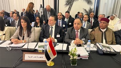 المشاط: حريصون على دعم جهود المؤسسات المالية العربية لتحقيق رسالتها التنموية