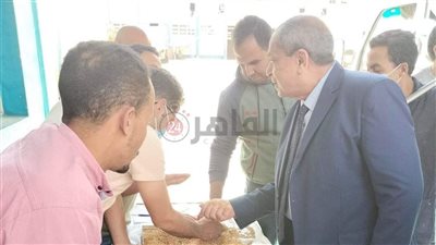 توريد 23 ألف طن من محصول القمح بالشون والصوامع الحكومية بمراكز المنيا