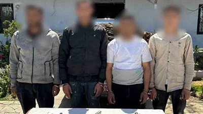 سقوط حرامية البطاريات.. ضبط مرتكبي وقائع سرقة البساتين والتجمع الأول