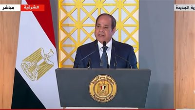 السيسي: التأكيد على القطاعين الخاص والعام بالالتزام بنسبة 5% لتشغيل ذوي الإعاقة