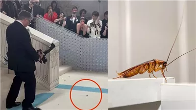 صرصور يخطف الأضواء من نجوم حفل ميت جالا 2023 | فيديو