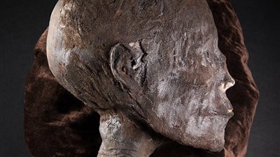 بـ 20 ألف إسترليني.. عرض رأس مومياء مصرية نادرة للبيع في مزاد ببريطانيا غدًا