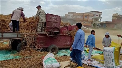 توريد 102 ألف طن قمح بالشون والصوامع الحكومية في المنيا