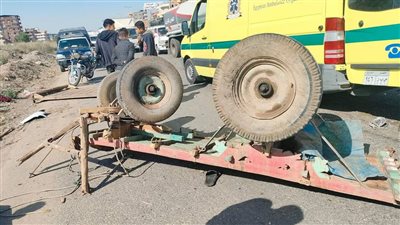 إصابة شخصين في تصادم ميكروباص وعربة كارو بالمحلة