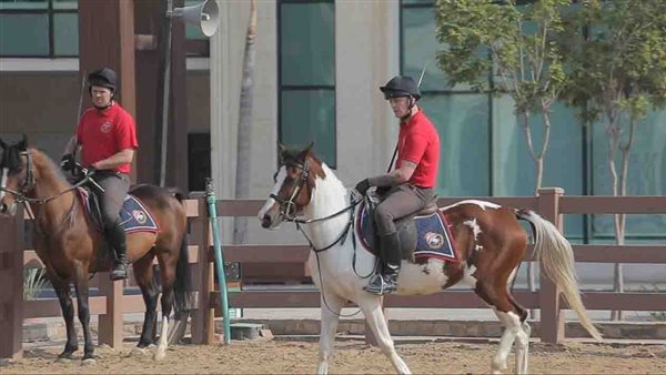 الداخلية تُنظم البطولة