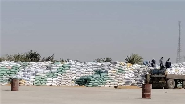 رئيس مركز ومدينة