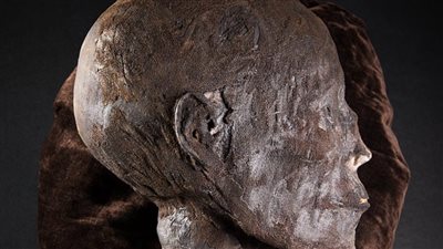 بـ 20 ألف إسترليني والآثار تتخذ إجراء.. القصة الكاملة لعرض رأس مومياء مصرية للبيع في مزاد ببريطانيا | صور 