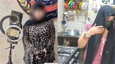  المحكمة بحيثياتها في قضية أنوش: المتهمة استخدمت العري والألفاظ الخادشة