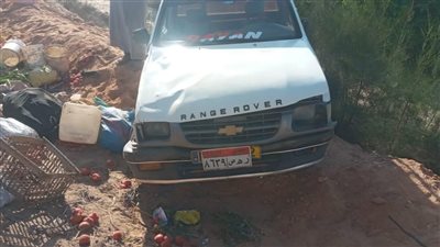 بينهم أطفال.. ننشر أسماء العمال المصابين بحادث الإسماعيلية 